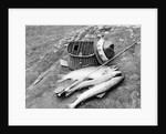 Catch of Trout by Anonymous
