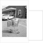 Shopping Cart In Grocery Parking Lot by Anonymous