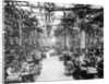 Crankshaft Grinding Department at Ford Motor Company by Anonymous