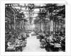 Crankshaft Grinding Department at Ford Motor Company by Anonymous