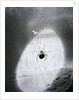 Close-Up Of A Fly & Spider In A Web by Anonymous