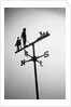 Golfer And Caddy Weather Vane by Anonymous