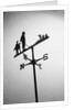 Golfer And Caddy Weather Vane by Anonymous