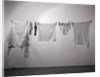 Clothes/Socks/Underwear On Clothesline by Anonymous