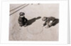 Boys Playing Marbles by Anonymous