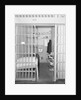 Confinement Cell at Alcatraz by Anonymous
