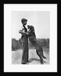 Teenage Boy with Irish Setter by Anonymous