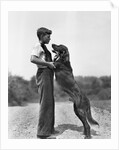 Teenage Boy with Irish Setter by Anonymous