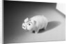 Close-Up of a Piggy Bank by Anonymous