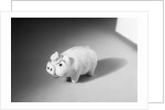 Close-Up of a Piggy Bank by Anonymous