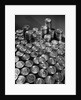 Stacks of 1890 Dollar Coins by Anonymous