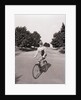 Businessman Riding a Bicycle by Anonymous
