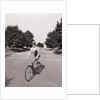 Businessman Riding a Bicycle by Anonymous