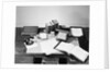 Desk Covered with Assorted Office Supplies by Anonymous