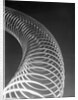 Slinky Toy by Anonymous