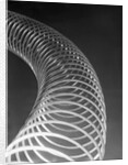 Slinky Toy by Anonymous
