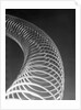 Slinky Toy by Anonymous