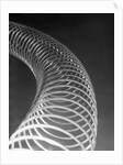 Slinky Toy by Anonymous