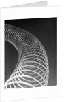 Slinky Toy by Anonymous