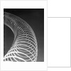Slinky Toy by Anonymous
