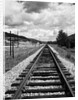 Railroad Tracks Stretching into the Distance by Anonymous