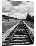 Railroad Tracks Stretching into the Distance by Anonymous