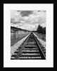 Railroad Tracks Stretching into the Distance by Anonymous
