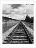 Railroad Tracks Stretching into the Distance by Anonymous
