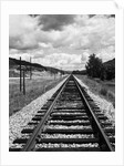 Railroad Tracks Stretching into the Distance by Anonymous