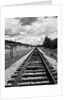 Railroad Tracks Stretching into the Distance by Anonymous