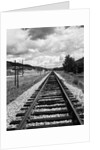 Railroad Tracks Stretching into the Distance by Anonymous