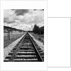 Railroad Tracks Stretching into the Distance by Anonymous