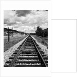 Railroad Tracks Stretching into the Distance by Anonymous