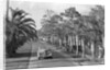 Couple Ride In Car/Tree-Lined Street by Anonymous