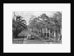 Couple Ride In Car/Tree-Lined Street by Anonymous