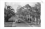 Couple Ride In Car/Tree-Lined Street by Anonymous