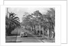 Couple Ride In Car/Tree-Lined Street by Anonymous