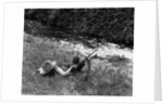 Boy Fishing with Hat Over Face by Anonymous