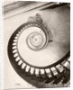 St. Louis Hotel's Winding Staircase by Anonymous