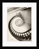 St. Louis Hotel's Winding Staircase by Anonymous