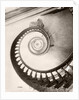 St. Louis Hotel's Winding Staircase by Anonymous