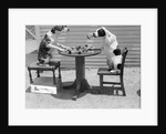 Dogs Playing Checkers/One Smokes Pipe by Anonymous