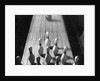 Bowling Ball Rolling Toward Pins by Anonymous