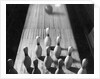 Bowling Ball Rolling Toward Pins by Anonymous