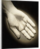 Palm-Side Of A Hand by Anonymous