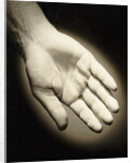 Palm-Side Of A Hand by Anonymous
