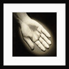Palm-Side Of A Hand by Anonymous