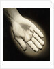 Palm-Side Of A Hand by Anonymous