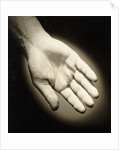 Palm-Side Of A Hand by Anonymous