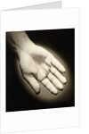 Palm-Side Of A Hand by Anonymous
